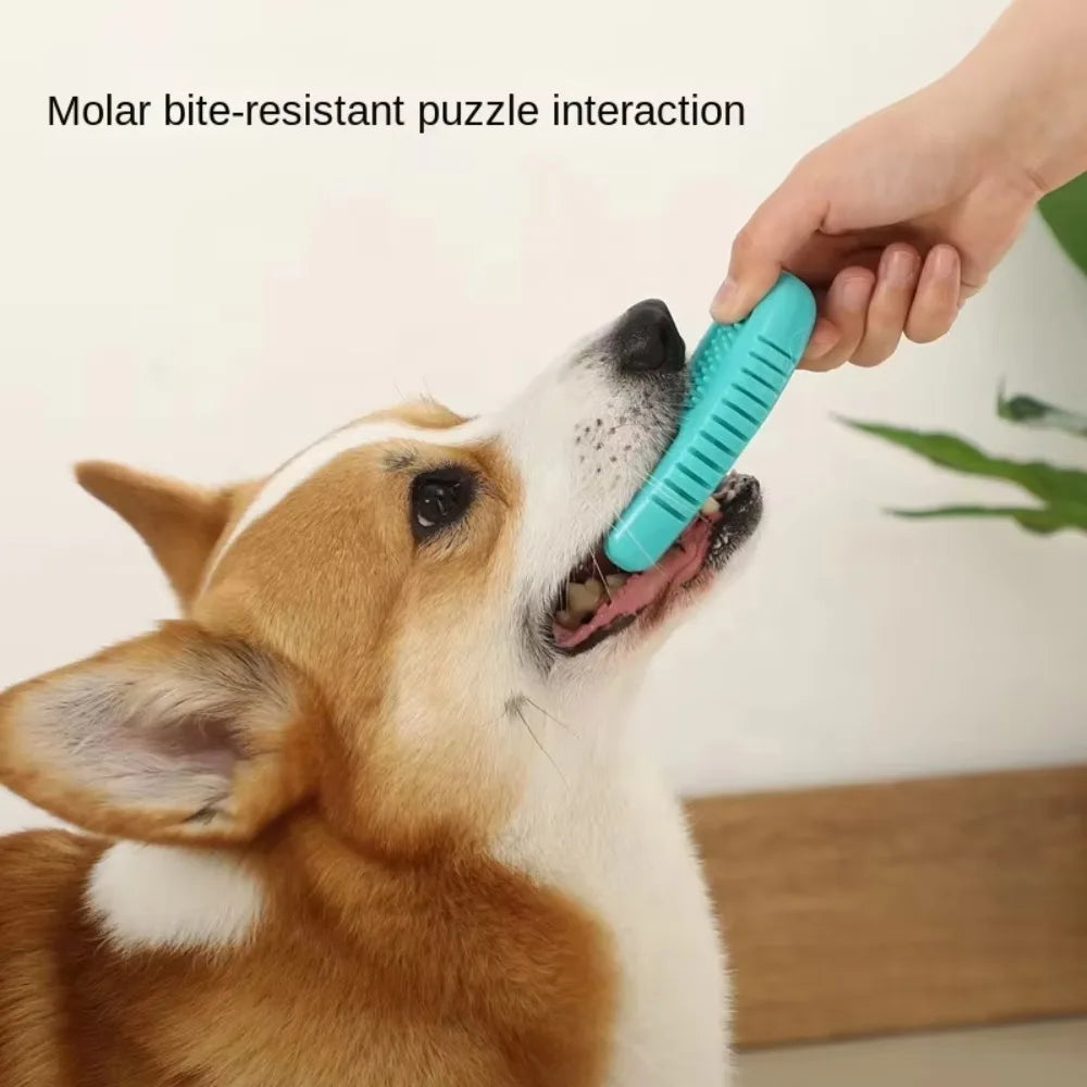 Teeth Cleaning Toy Food Dispensing Rubber Funny Ball Tpr Dog Chew Toy Durable Interactive Dog Toys,Pet Chew Toys Dog Teeth Clean