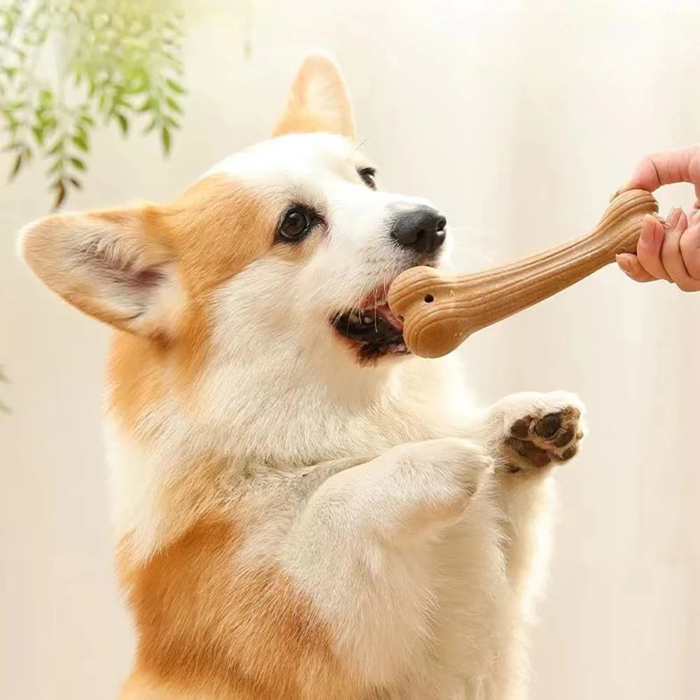 Bite Resistant Pet Dog Chew Toys Molar Teeth Clean Stick Interesting Pine Wood Cute Bone Shape Durable Pet Accessories