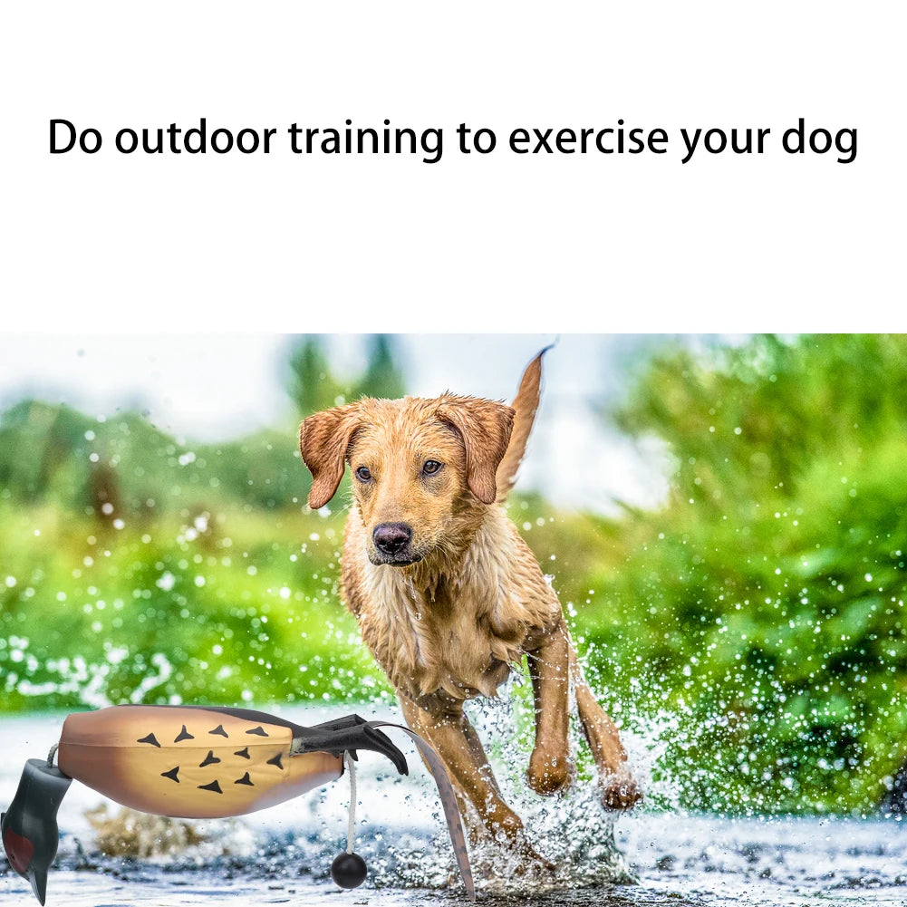 Mulipurpose Pet Dead Fowl Fetch Toy For Training Dogs Outdoor Indoor Imitate Dead Fowl Essential For Trainers