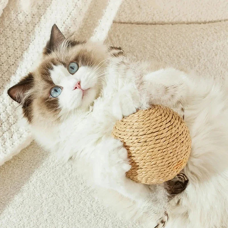 10CM Interactive Sisal Cat Scratching Ball Toy For Kitten Teeth Cleaning Anti Bite Cat Ball Sounding Toy Pet Supplies