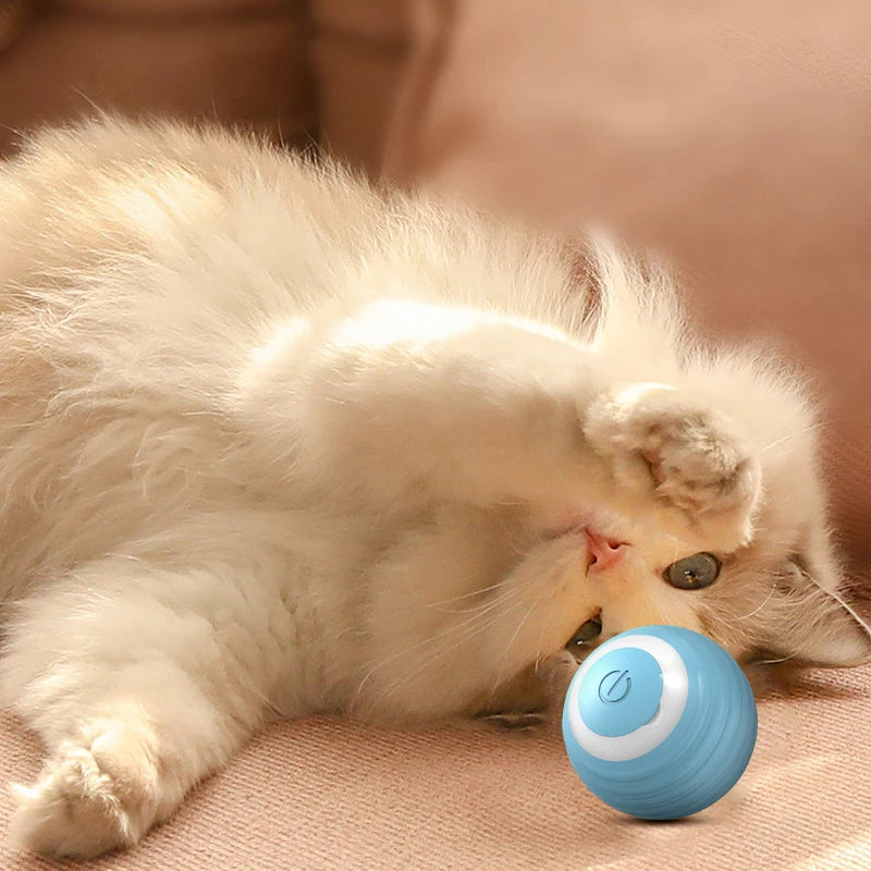 Pet Cat's Supplies Spin Ball Things for Cats Toys Electric Interactive USB Charging Cat and Dog Accessories Cat Ball Toy