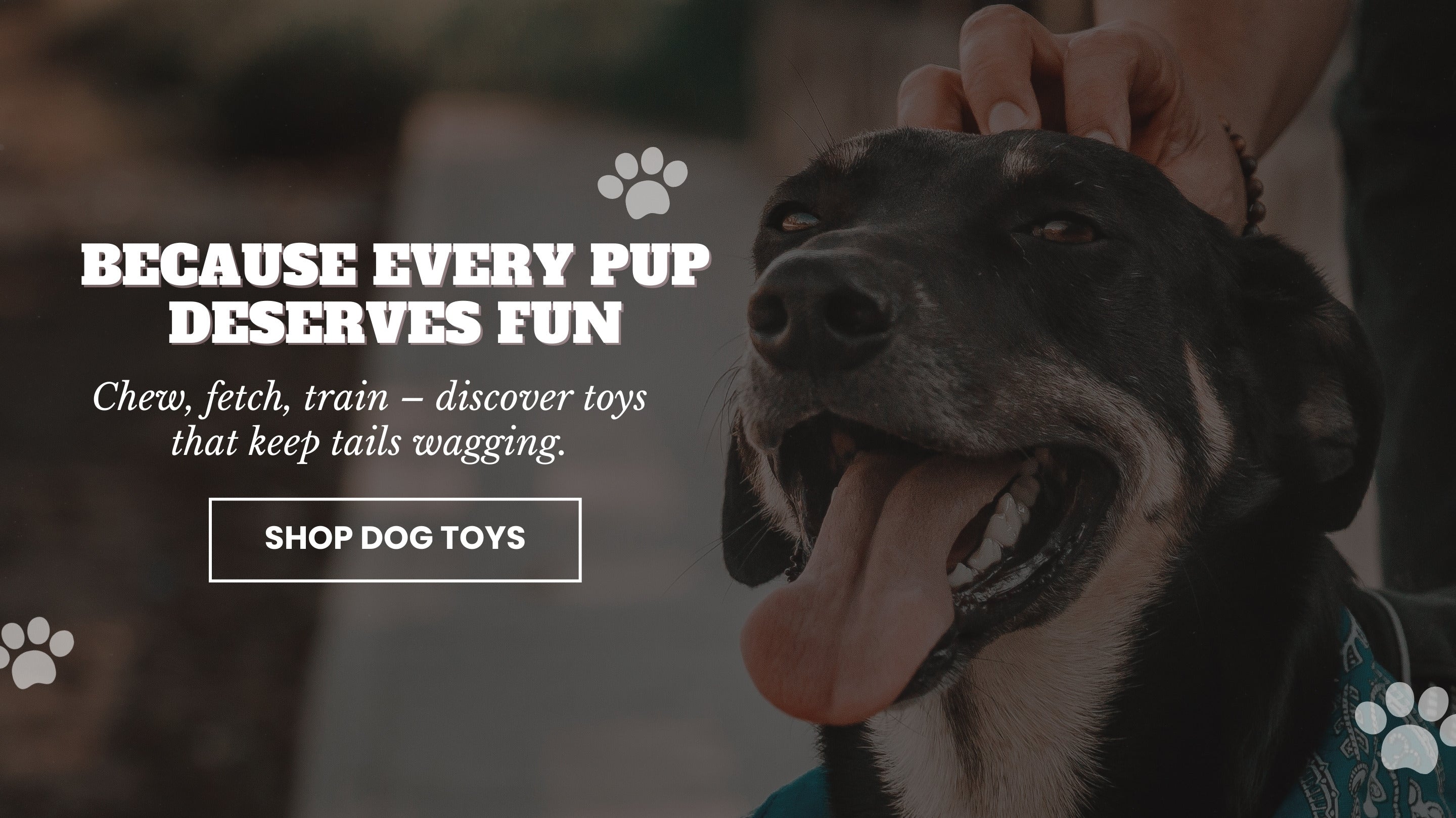 slider image 1621243260e1af0c20-0