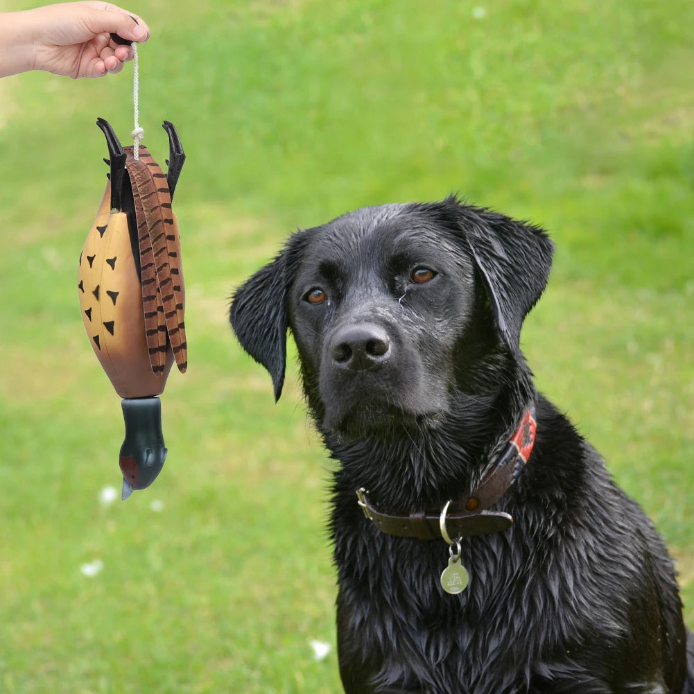 Mulipurpose Pet Dead Fowl Fetch Toy For Training Dogs Outdoor Indoor Imitate Dead Fowl Essential For Trainers